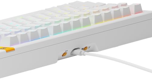 Glorious Gaming GMMK 3 HE Med dynamiska avtryckare, Hall Effect, 8K uppdateringsfrekvens, MX- Och magnetbrytare, 75% TKL, modulärt packningssystem, doubleshot PBT-tangenter, USA QWERTY - Vit