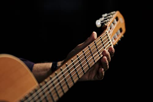 Ortega R180 - Guitarra clásica (cedro y bubinga, tamaño 4/4), color natural