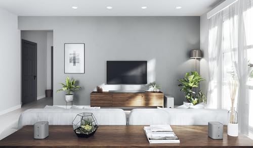 YAMAHA TRUE X BAR 40A Barra de Sonido Dolby Atmos con Alexa integrada, Gris Claro