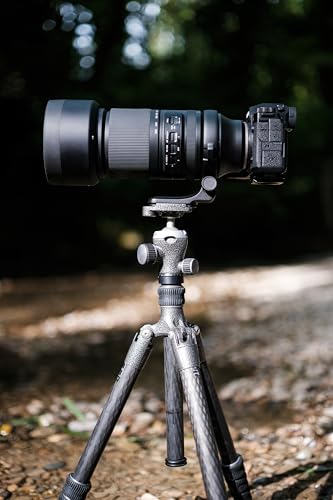 Tamron 150-500mm F/5-6.7 di III VC VXD Fuji X,Negro