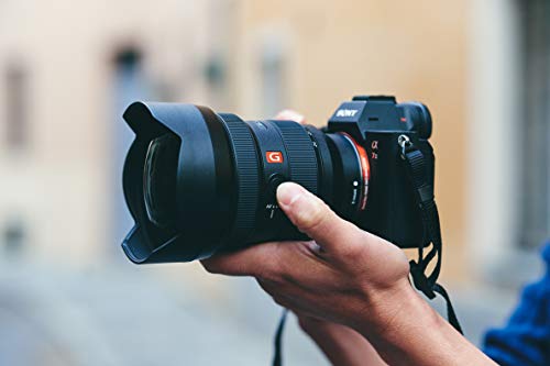 Sony SEL1224GM - Objetivo Ultra Gran Angular (12-24 mm, F2.8, Formato Completo, Compatible con Las Series A9 y A7, E-Mount, Premium) color negro