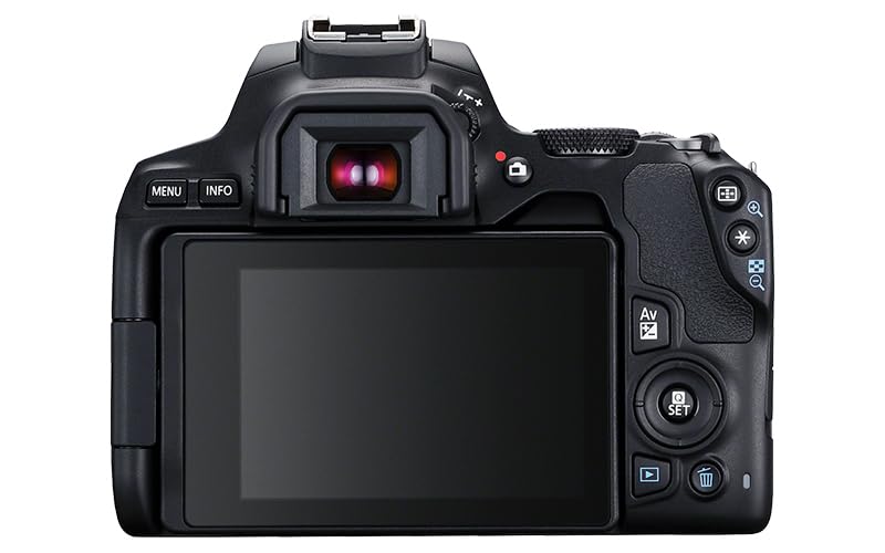 Canon EOS 250D - Cámara Digital (24,1 MP, 6000 x 4000 Pixeles, CMOS, 4K Ultra HD, Pantalla táctil) Negro - Kit con Cuerpo y EF-S 18-55IS STM