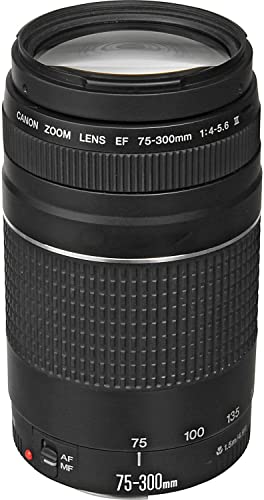 Canon Cámara réflex., Negro, Full-Size