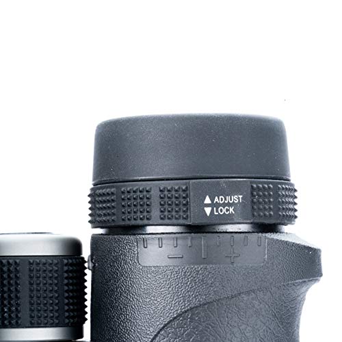 VANGUARD Endeavor ED II - Prismáticos de 8 x 42 Pulgadas con Vidrio Hoya ED, Resistente al Agua y a la Niebla, Color Negro