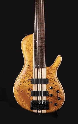 CORT A5 Plus SC (Regular Scale)