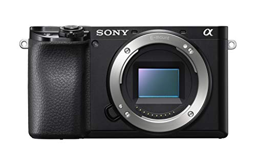 Sony ILCE6100YB.CEC Alpha 6100 Cámara Evil APS-C con Objetivos Zoom, Color Negro, Sin Tarjeta