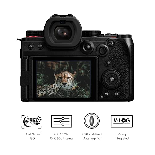 Panasonic LUMIX DC-S5 II, Cámara Sin Lente De Marco Completo, Sin Espejo,4K 60P y 6k 30P Grabación, Pantalla Movible, Wi-Fi, Phase Hybrid AF 779 Puntos, IS Activo, Negro