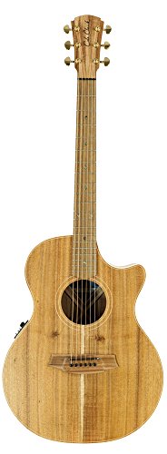 Cole Clark ccan2ec-blbl guitarra Electro-Acoustique