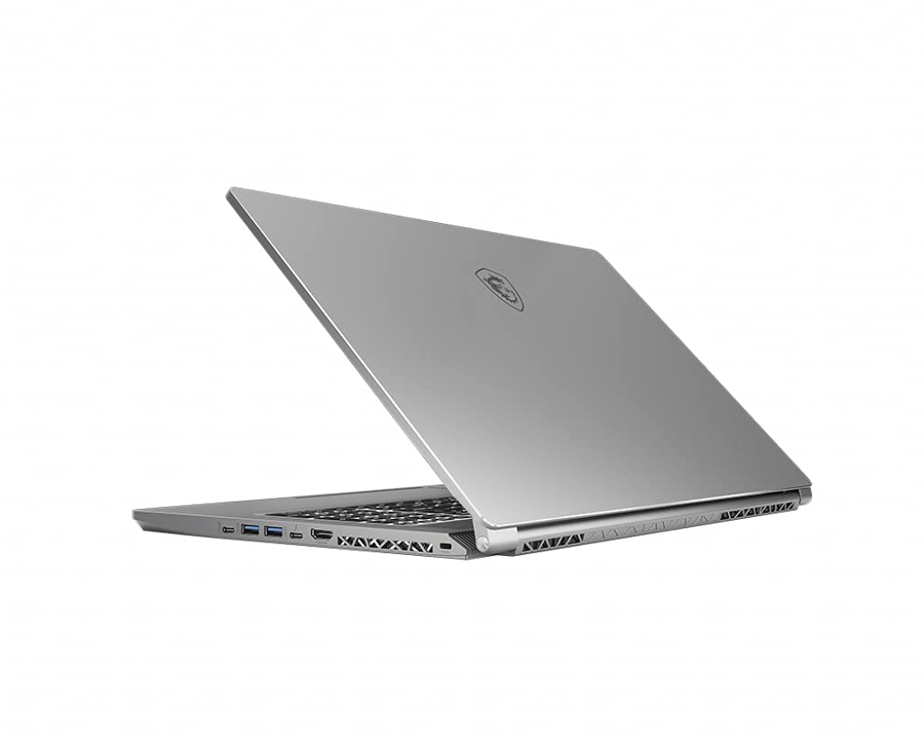 MSI Workstation WS75 10TM-498 Estación de Trabajo móvil Gris Workstation WS75 10TM-498, Gris