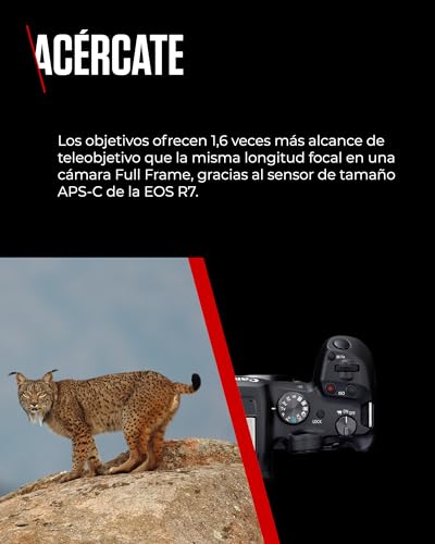 CANON EOS R7 Cámara Mirrorless Body, Cámara EVIL APS-C (32,5 MP) -5 EV, Vídeo 4K 60 fps, Dual Pixel CMOS AF II, Pantalla Táctil de Ángulo Variable, Negro