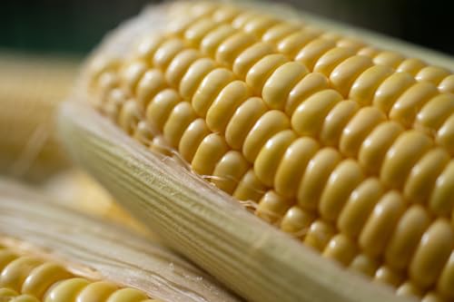 TAMRON 50-400mm f/4.5-6.3 Di III VC VXD Nikon Z