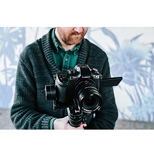Panasonic Lumix DC-GH5M2ME - Cámara EVIL con Objetivo 12-60 mm/F3.5-5.6 (20MP, 4K, Doble Estabilización, Protección contra Frío, Polvo y Salpicaduras) Negro
