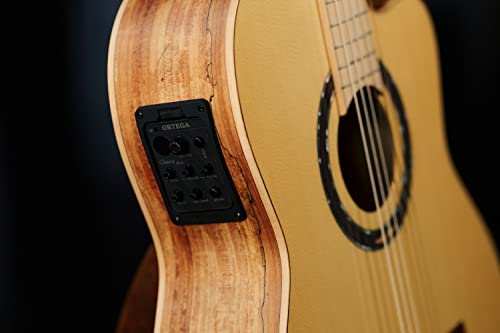 ORTEGA Thomas Zwijsen Signature Classic Guitar 6 cuerdas - + Softcase, TZSM-3