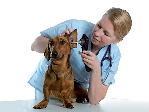 MD Scope videotoscopio veterinaria, 3 sondas