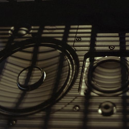 Bang & Olufsen Beosound Level Altavoz Inalámbrico Bluetooth Portátil y WiFi, El Primer Altavoz Certificado de Diseño Regenerativo Cradle to Cradle, IP54, Hasta 16 Horas de Batería Gold Tone/Wood