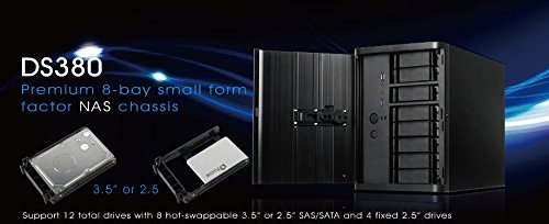 SilverStone SST-DS380 - Carcasa de ordenador de almacenamiento Mini-ITX con puerta, negro