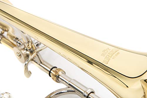 Roy Benson Trombón tenor en Sib/F TT-236F (válvula de cuarto de galón, calibre de 13,34 mm, campana de latón de 8", máxima brillantez de sonido, diseño ergonómico, en un práctico estuche con forma)