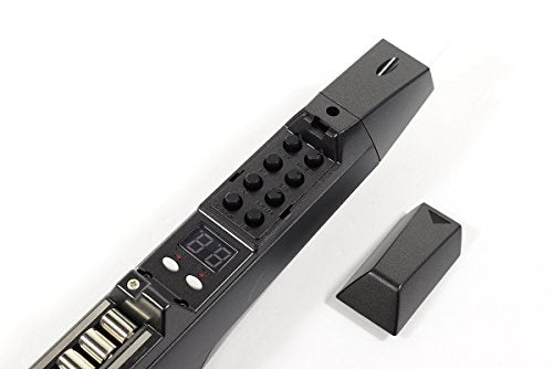 Akai Professional EWI5000 Black, Instrumento de viento electrónico inalámbrico con batería y biblioteca de sonidos integrada