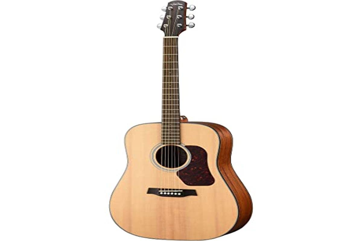 WALDEN D550E Guitarra Acústica