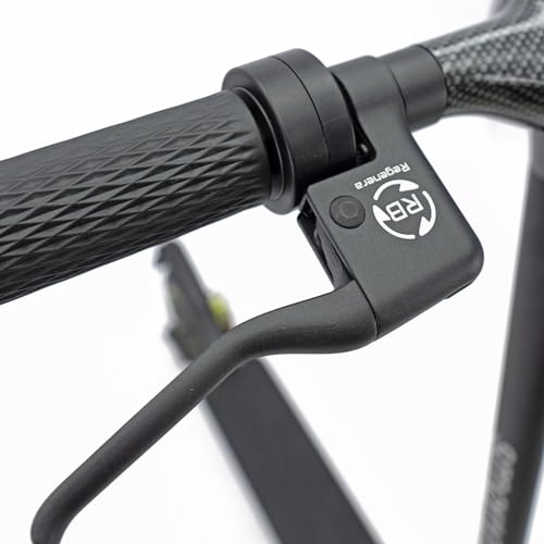 smartGyro Z-PRO Black Patinete Eléctrico de 36V, 600W de Potencia Máxima, Batería de 10Ah, Autonomía 40 Km, Ruedas de 10 inches, Suspensiones, Triple Frenada, App, Certificado DGT, Segunda Generación