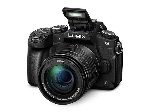 Panasonic Lumix DMC-G80/G81/G85 12-60 / 3.5-5.6 Lumix G Vario Power OIS ASPH - Cámara digital