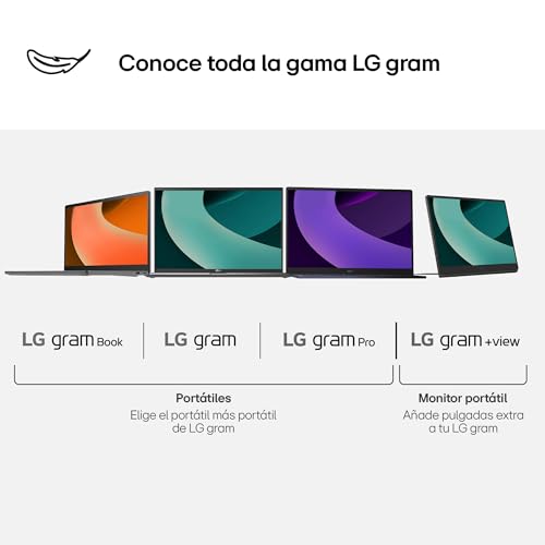 LG 17MT70 - Monitor +View gram, Pantalla Portátil, 17", IPS WQXGA, 16:10, DCI-P3 99%, USB-C, 780gr, Gris