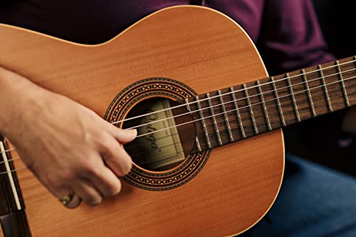Ortega R180 - Guitarra clásica (cedro y bubinga, tamaño 4/4), color natural