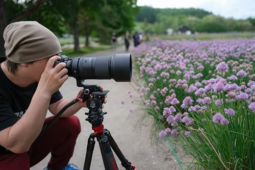 Tamron 150-500mm F/5-6.7 di III VC VXD Fuji X,Negro