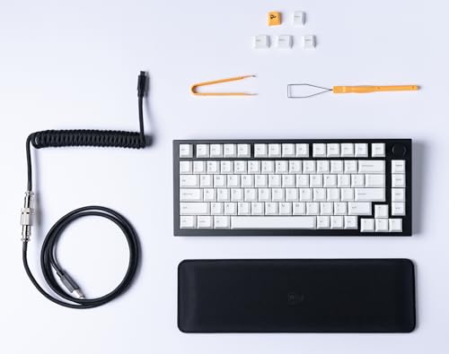 Glorious Gaming GMMK PRO 75% - Teclado gaming mecánico modular, TKL, carcasa de 1,5 kg, personalizable, cable espiral, reposamuñecas, keycaps blancas, RGB, distribuciones QWERTY español - Negro