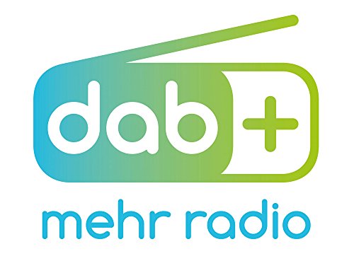 Karcher Dab 2420 Dab+, UKW - Reloj Despertador estéreo con Pantalla Simmbares y Alarma Dual de 5.5 Pulgadas, Color Negro