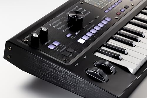 Korg microKORG 2 - Sintetizador analógico de 37 teclas y procesador de voz - edición limitada negra
