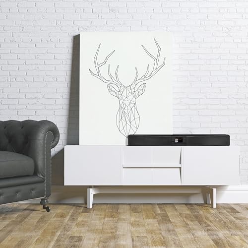 Sangean SB-100 - Barra de Sonido Dab+ Bluetooth WLAN NFC con subwoofer Integrado