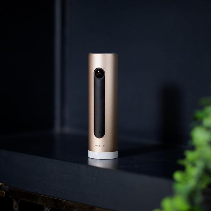 Netatmo Cámara de Vigilancia Interior con Soporte de Pared, WiFi, AI Reconocimiento Facial, Detección de Movimientos, Transmisión en Vivo, Visión Nocturna, FHD 1080p, Sin Costo Adicional, NSC-AMZ