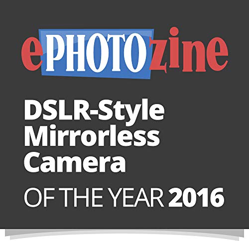 Panasonic Lumix DMC-G80/G81/G85 12-60 / 3.5-5.6 Lumix G Vario Power OIS ASPH - Cámara digital