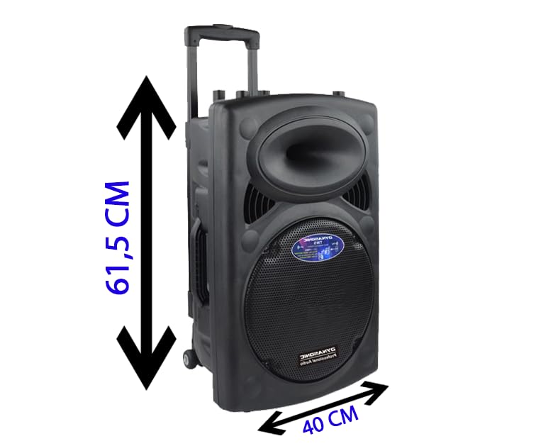 DYNASONIC - Dynapro 12’ (Segunda Generación) Altavoz portátil Sistema Audio Profesional Potencia 700W - USB Bluetooth Radio FM Micrófonos, Negro - Soporte para Dispositivos movil y Tablet