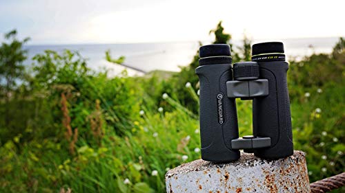 Vanguard Endeavor ED II - Binoculares, 10 x 42 mm