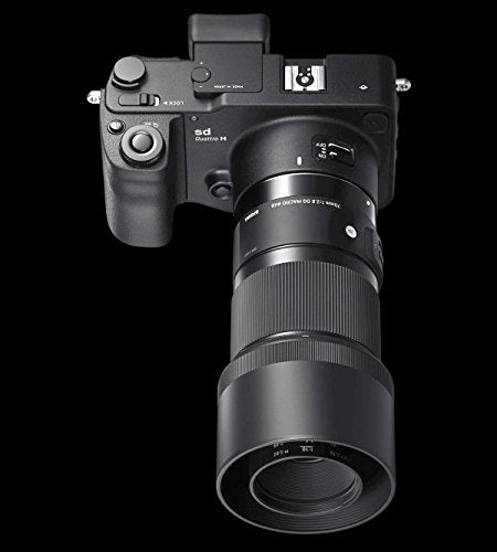SIGMA 70mm F2.8 Art DG Macro