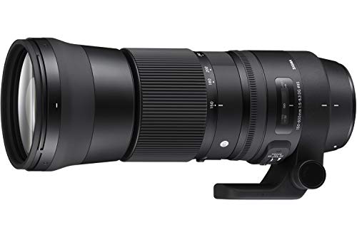 Sigma Zoom 150-600/5-6.3 DG OS HSM (C) EOS - Objetivo, Negro