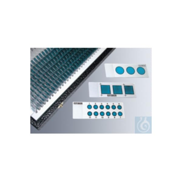 Marienfeld 100 portaobjetos de microscopio de vidrio sodocálcico con 3 cajas cuadradas de 15 mm x 15 mm y 4 cruces de paso, 76 mm de profundidad, 26 mm de ancho, 1 mm de grosor