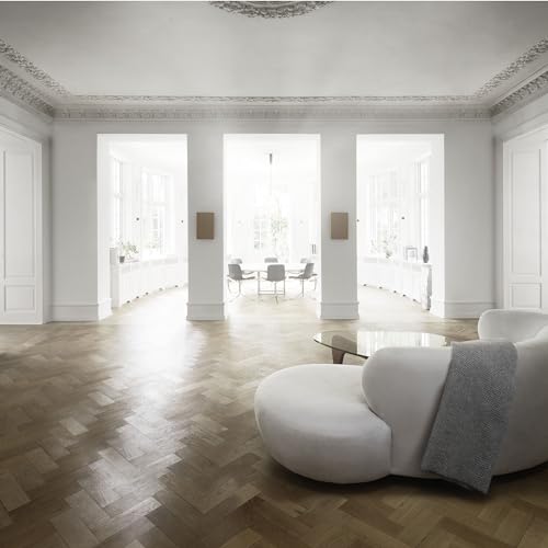 Bang & Olufsen Beosound Level Altavoz Inalámbrico Bluetooth Portátil y WiFi, El Primer Altavoz Certificado de Diseño Regenerativo Cradle to Cradle, IP54, Hasta 16 Horas de Batería Gold Tone/Wood