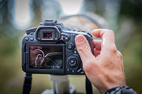 Canon EOS 90D - Cámara Réflex de 32.5 MP (Sensor APS-C, 45 Puntos AF, Disparos de 10fps, EOS Movie 4k+Full HD, Wi-fi, Bluetooth) Negro - Kit Cuerpo con Objetivo EF-S 18-135mm f/3.5-5.6 IS USM