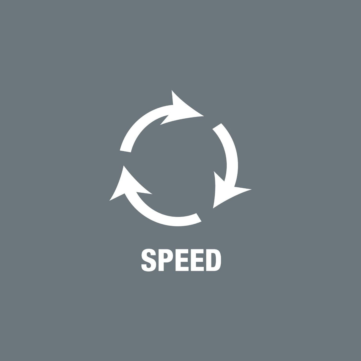 Wera 05003755001 8100 SA All-in Juego de carraca Zyklop Speed, Negro, Cromo, Verde, 1/4"