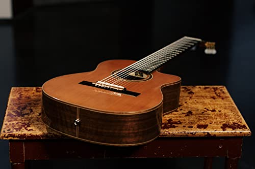 ORTEGA Performer Series Classical Guitar 44 8 String Cedro natural y funda RCE159-8