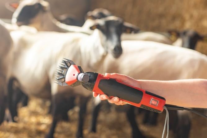 KERBL 18261 Cizalla profesional de ovejas de 6 velocidades con clipper agrícola, 350 vatios