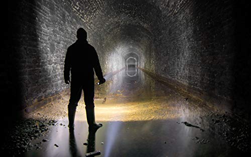 Linterna de bolsillo LED Ledlenser X21R, reflector, recargable con batería de litio LiFePO, 5000 lúmenes, enfocable, tecnología X-Lens, haz de luz de 800 m, carga magnético y soporte para la pared