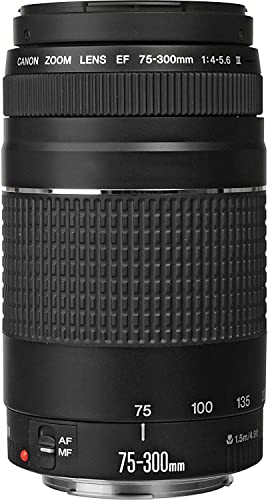 Canon Cámara réflex., Negro, Full-Size