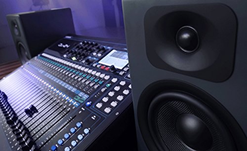 Wavemaster Two Pro - Altavoces de estantería (110 W) con Bluetooth, Color Gris Antracita
