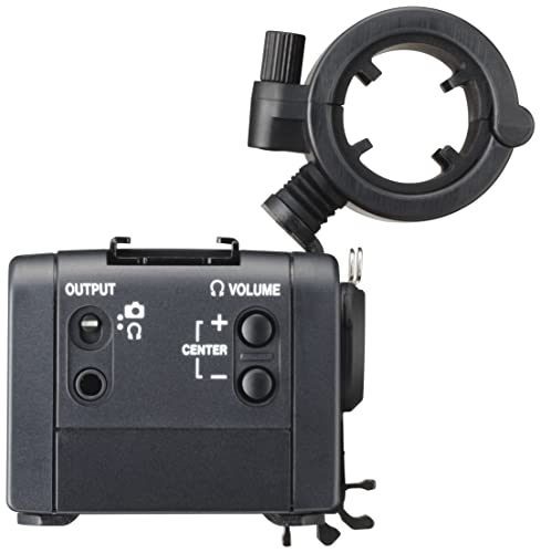 Tascam CA-XLR2D-F