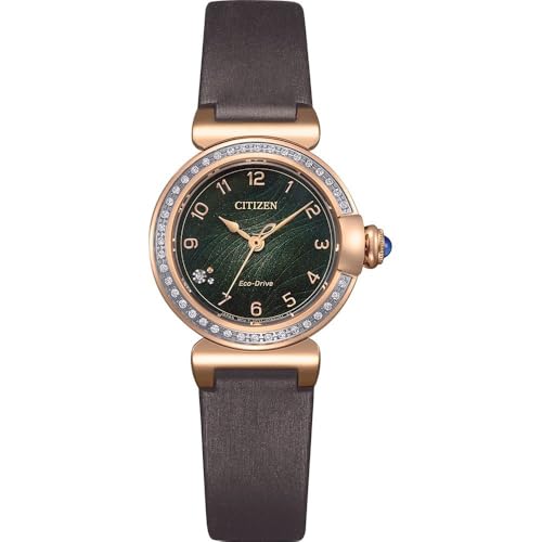 CITIZEN Reloj Analógico para Mujer'S de Eco-Drive con Correa en Acero Inoxidable EM1123-62X