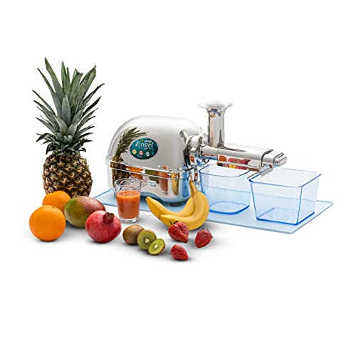 Angel 7500 Extractor de Jus, Stainless Steel